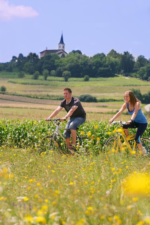 Апартаменты Turisticna Kmetija Cebelji Gradic Rogasovci Экстерьер фото