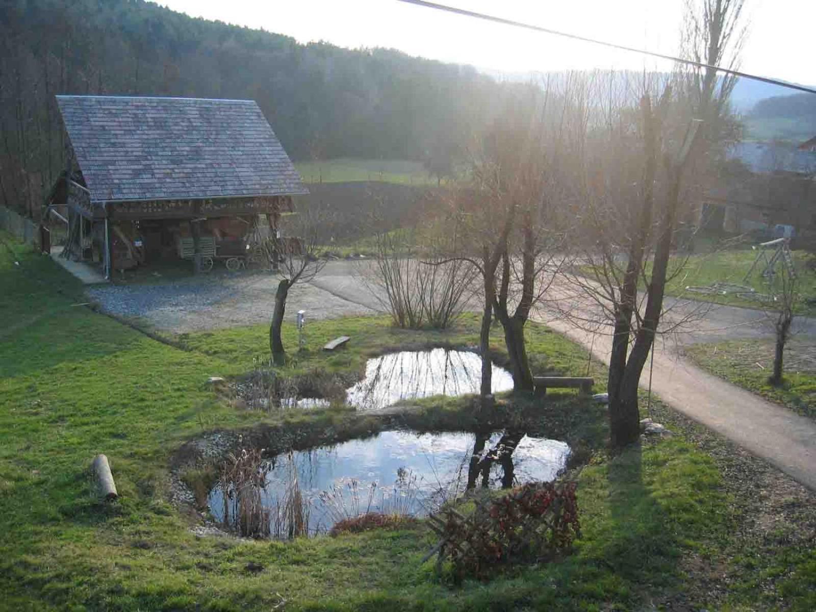 Апартаменты Turisticna Kmetija Cebelji Gradic Rogasovci Экстерьер фото